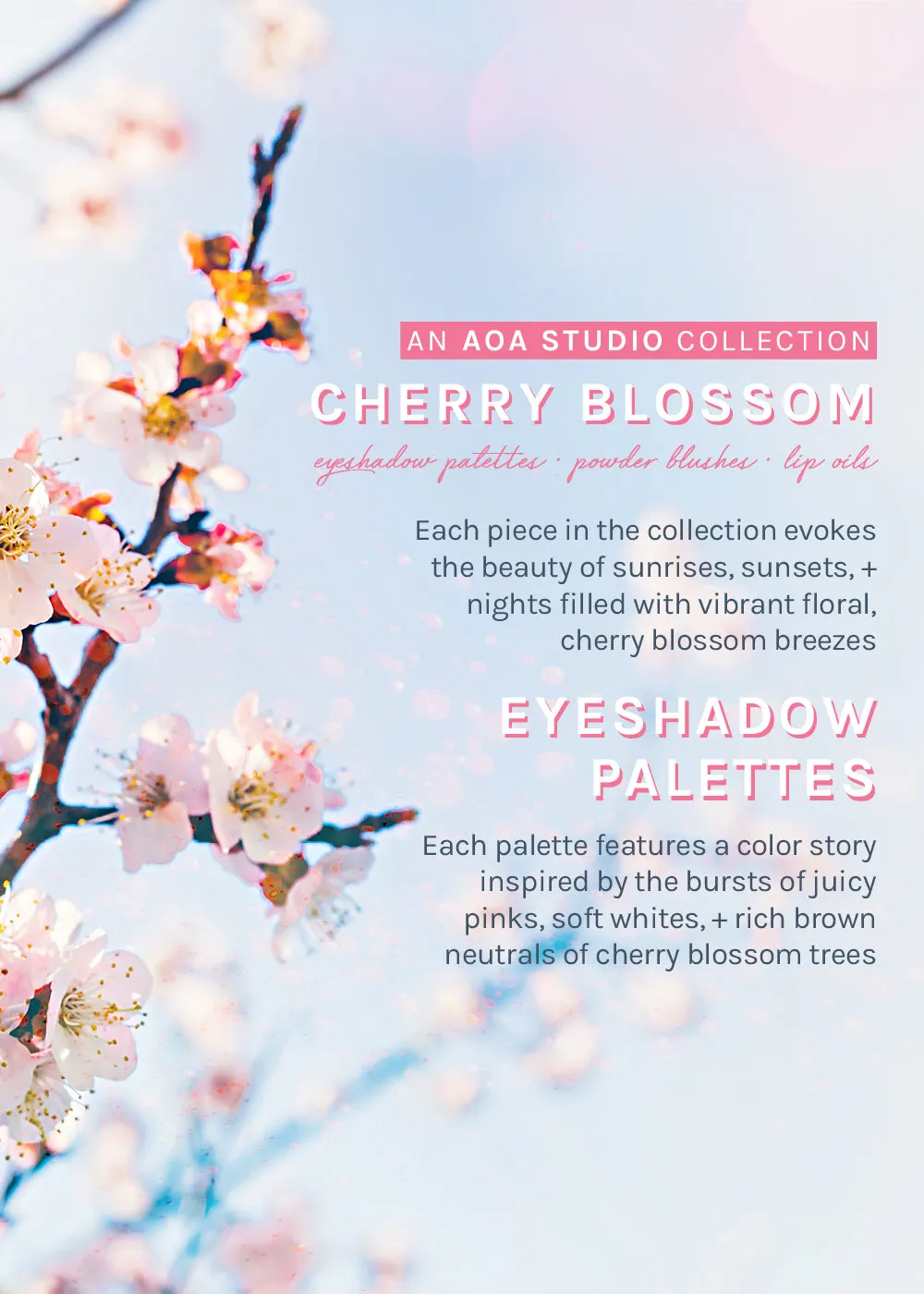 AOA Cherry Blossom Powder Blushes