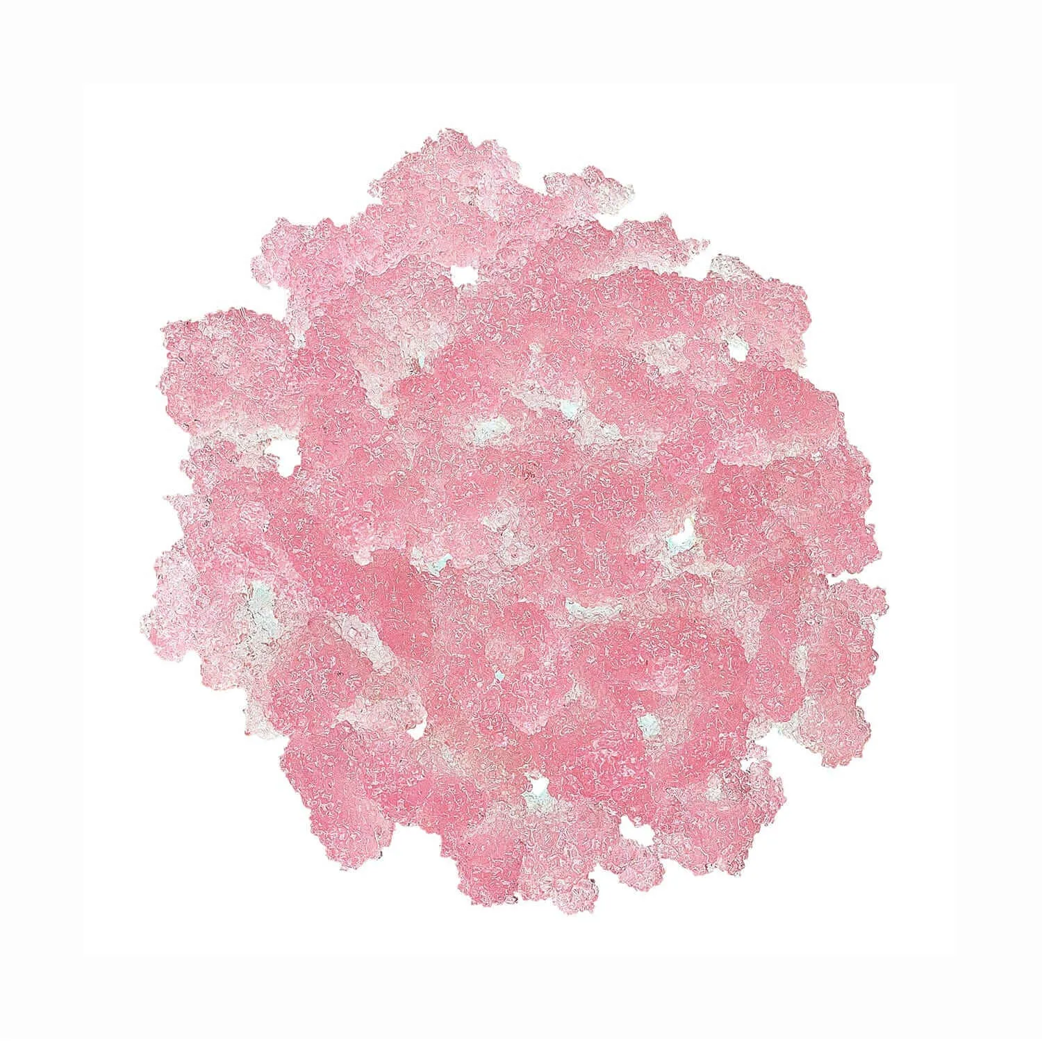 Lip Scrub | Pink Grapefruit